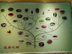 -上海昆虫博物馆