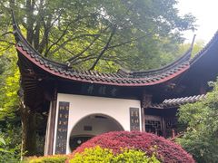 -十八棵（老龙井）御茶园(老龙井店)