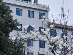-经纬广场