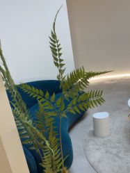 -VE专注问题肌·赛诺龙&科学美肤中心