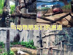 -北京动物园