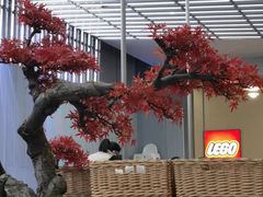 -苏小柳点心·手作小笼包(浦东嘉里城分院)