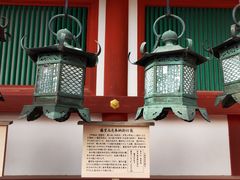 -奈良公园