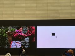 店内环境-Apple零售店(济南恒隆广场店)