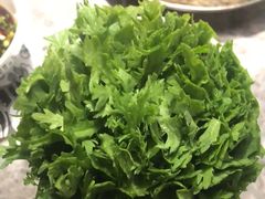 -禄婶鸡煲·打边炉