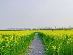 -汉长安城未央宫国家考古遗址公园