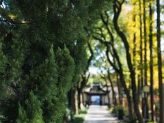 -上海醉白池公园