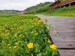 -关山草原