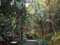 -梦姑塘文化公园