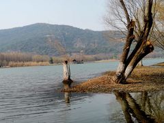 -长广溪湿地公园
