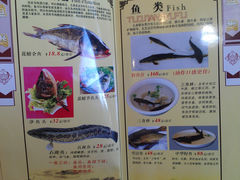 菜单-沱江鱼府(丽江店)