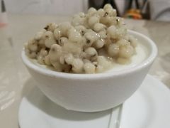 -老周记顺德双皮奶