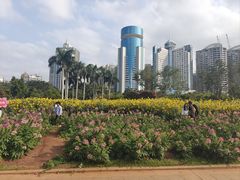 -万绿园