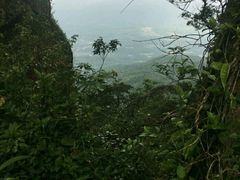 -七仙岭温泉国家森林公园