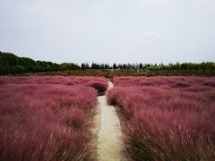-嘉北郊野公园