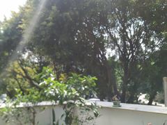 -动物缘宠物医院·骨科·猫科(西二环店)