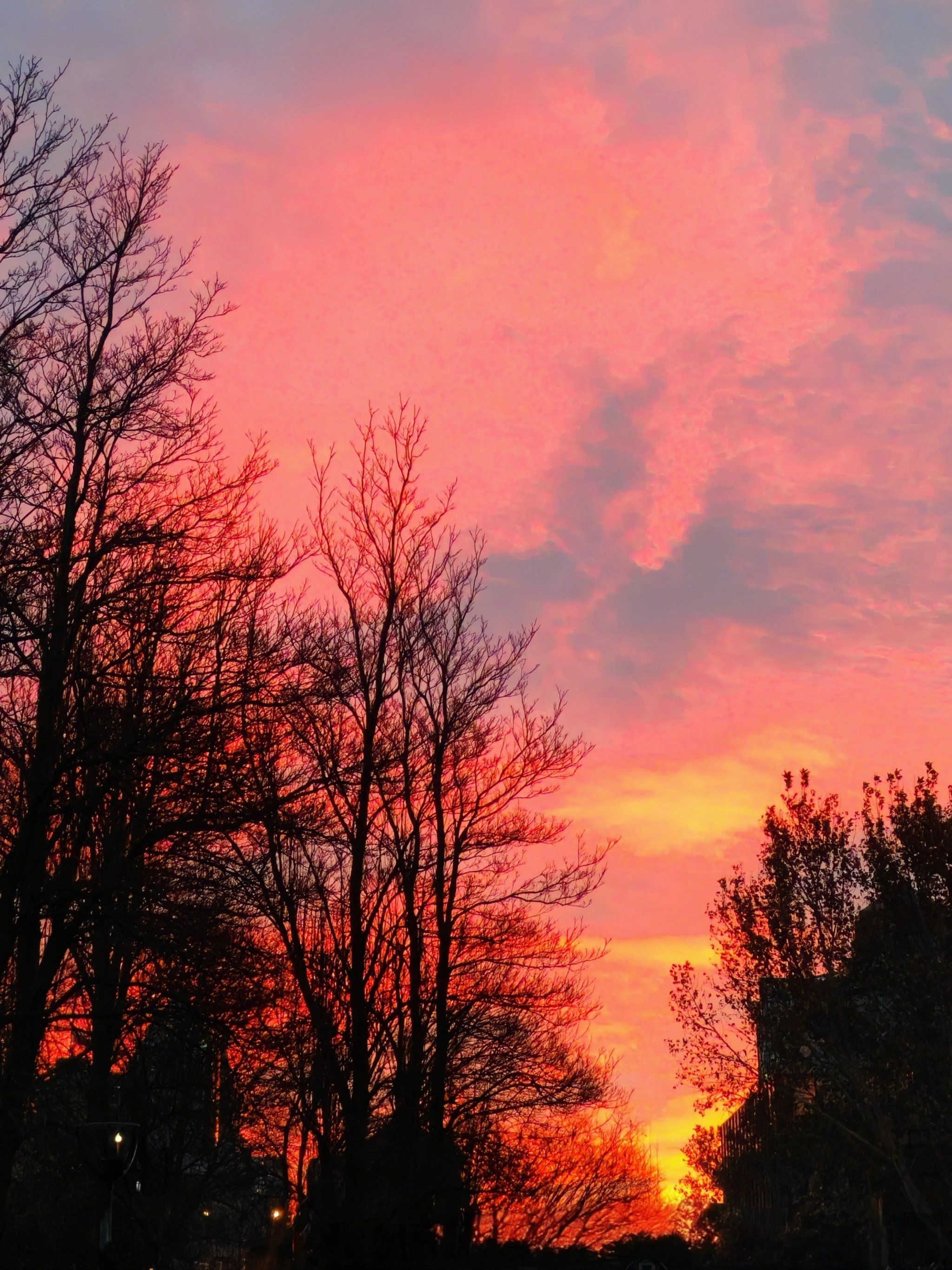 0元玩转这座城昨天早晨的朝霞 太美啦
