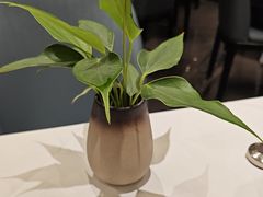 -眉州东坡(清河万象汇店)