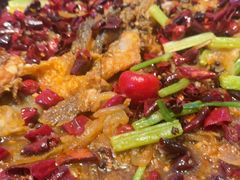 -老板恋上鱼(恒隆广场店)