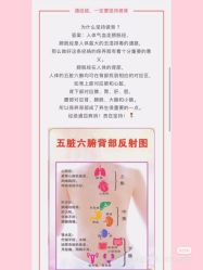 -香薇妮丝·定制减肥·身材管理