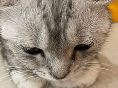 -共舞时光猫咖·狗咖(新街口店)