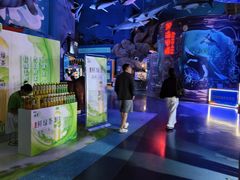 -烟台海昌鲸鲨海洋公园