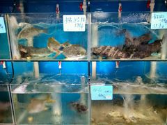 -鑫悦楼煎蟹·16年海鲜大排档