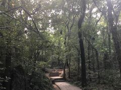 -九曜山