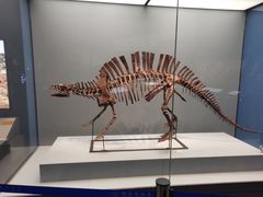 -湖南省地质博物馆