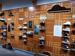 -allbirds(三里屯太古里南区店)