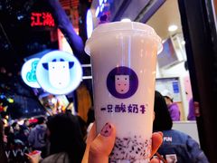 -一只酸奶牛(八一路店)