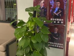 -丰收日(五角场店)