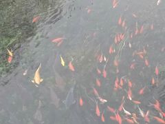 -水磨沟公园