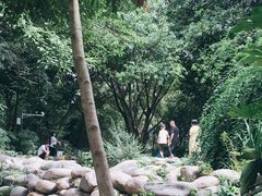 -成都市活水公园