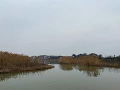 -凤凰天仙城