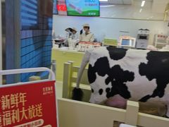 -红星前进面包牛奶公司(君太店)