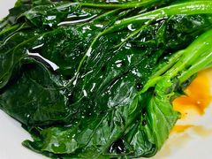 白灼芥兰-百福麵家(新馬路店)