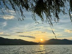 -白鹭湾湿地公园