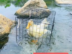 -南宫温泉水世界