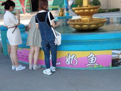 -蓬莱欧乐堡梦幻世界