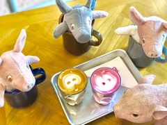 -WHEN PIGS FLY当猪飞