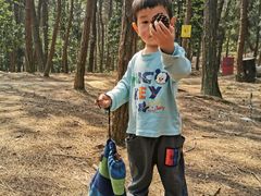 -铁山坪森林公园