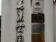 -金花茶公园