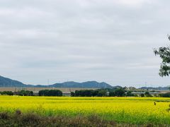 -光明小镇欢乐田园