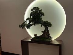 -中关村皇冠假日酒店·红轩中餐厅
