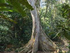 -中国科学院西双版纳热带植物园