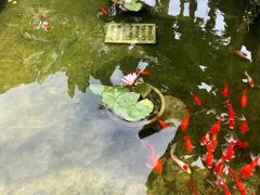 -德云居