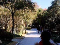 -江湾公园