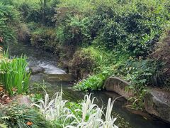 -中国茶叶博物馆(双峰馆区)