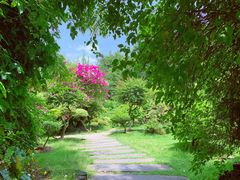 -曼听御花园